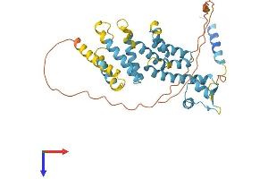 AlphaFold protein structure predicition of Mouse Recombinant Psmd8 Protein, UniprotID Q9CX56