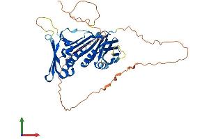 AlphaFold protein structure predicition of Mouse Recombinant Rad9b Protein, UniprotID Q6WBX7