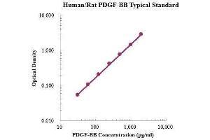 PDGF-BB Homodimer ELISA Kit