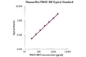 ELISA image for PDGF-BB Homodimer ELISA Kit (ABIN3198604) (PDGF-BB Homodimer Kit ELISA)