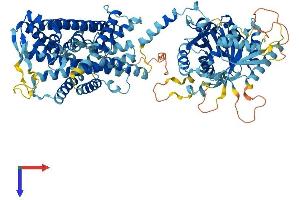 AlphaFold protein structure predicition of Human Recombinant SLC12A9 Protein, UniprotID Q9BXP2