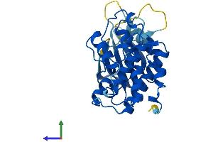 AlphaFold protein structure predicition of Mouse Recombinant Cdk5 Protein, UniprotID P49615