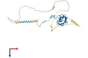 AlphaFold protein structure predicition of Mouse Recombinant Snip1 Protein, UniprotID Q8BIZ6