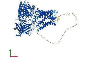 AlphaFold protein structure predicition of Mouse Recombinant Ermp1 Protein, UniprotID Q3UVK0