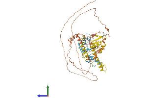 AlphaFold protein structure predicition of Human Recombinant IKZF3 Protein, UniprotID Q9UKT9