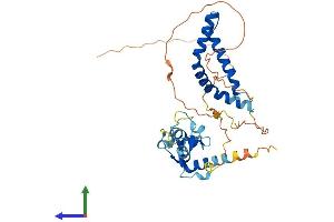 AlphaFold protein structure predicition of Human Recombinant DNTTIP1 Protein, UniprotID Q9H147