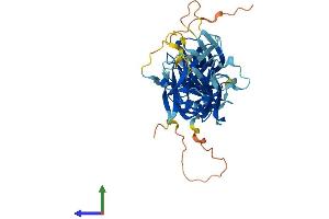 AlphaFold protein structure predicition of Human Recombinant ARRB1 Protein, UniprotID P49407