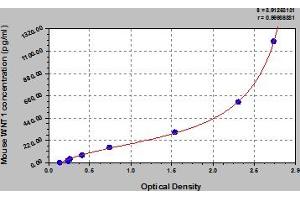 Typical Standard Curve (WNT1 Kit ELISA)