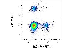 Flow cytometry analysis (surface staining) of human peripheral blood using anti-IgG (Fc), clone EM-07, FITC.