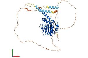 AlphaFold protein structure predicition of Mouse Recombinant Rrp8 Protein, UniprotID Q9DB85