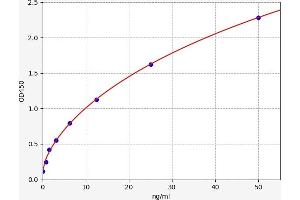 Typical standard curve (Platelet activating factor (PAF) Kit ELISA)