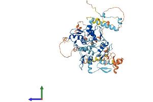 AlphaFold protein structure predicition of Human Recombinant ZNF674 Protein, UniprotID Q2M3X9