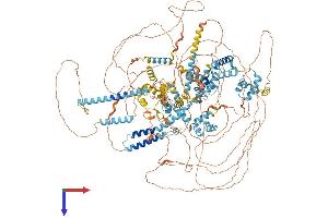 AlphaFold protein structure predicition of Human Recombinant SNAPC4 Protein, UniprotID Q5SXM2