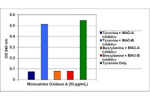 Measurement of MAO-A. (OxiSelect™ Monoamine Oxidase Assay Kit (Colorimetric))