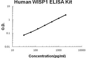 Human WISP1/CCN4 PicoKine ELISA Kit standard curve (WISP1 Kit ELISA)