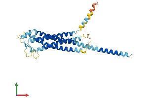 AlphaFold protein structure predicition of Human Recombinant GPM6A Protein, UniprotID P51674