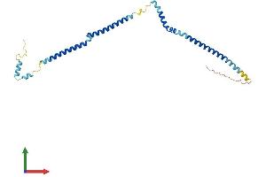 AlphaFold protein structure predicition of Human Recombinant HAUS2 Protein, UniprotID Q9NVX0