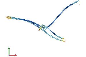 AlphaFold protein structure predicition of Human Recombinant MNS1 Protein, UniprotID Q8NEH6
