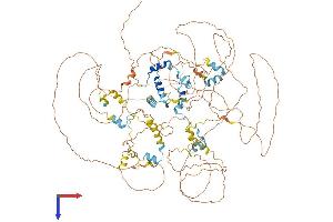 AlphaFold protein structure predicition of Mouse Recombinant Eif4enif1 Protein, UniprotID Q9EST3
