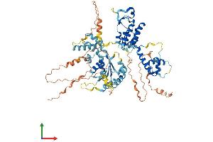 AlphaFold protein structure predicition of Mouse Recombinant Rad17 Protein, UniprotID Q6NXW6