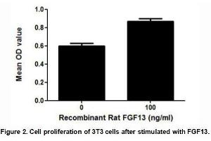 Fibroblast Growth Factor 13 (FGF13) (AA 1-192) (Active) protein (His tag)