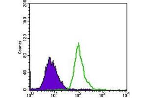 Flow cytometric analysis of HepG2 cells using EGFR mutant mouse mAb (green) and negative control (purple). (EGFR Mutant (AA 693-893), (Mutant) anticorps)