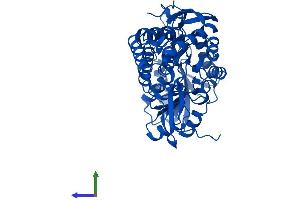 AlphaFold protein structure predicition of Human Recombinant ALDH9A1 Protein, UniprotID P49189
