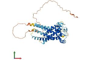 AlphaFold protein structure predicition of Human Recombinant SLC25A46 Protein, UniprotID Q96AG3