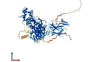 AlphaFold protein structure predicition of Mouse Recombinant Hspa12b Protein, UniprotID Q9CZJ2