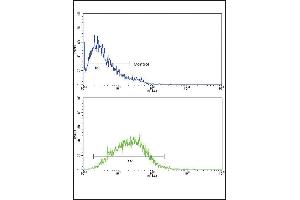 IL8 Antibody (C-term) (ABIN652552 and ABIN2842370) flow cytometric analysis of CEM cells (bottom histogram) compared to a negative control cell (top histogram). (IL-8 anticorps  (C-Term))