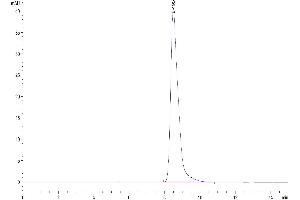 The purity of Biotinylated Human 4-1BB Ligand (Trimer) is greater than 95 % as determined by SEC-HPLC.