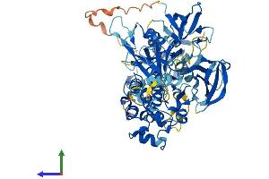 AlphaFold protein structure predicition of Human Recombinant TEC Protein, UniprotID P42680
