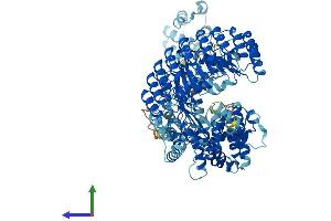 AlphaFold protein structure predicition of Mouse Recombinant Nlrp9b Protein, UniprotID Q66X22