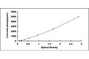 ELISA image for Interleukin 1 Receptor Antagonist (IL1RN) ELISA Kit (ABIN416690)