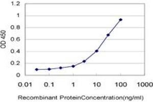 Detection limit for recombinant GST tagged LDB1 is approximately 0. (LIM Domain Binding 1 Protein anticorps  (AA 1-110))