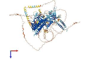AlphaFold protein structure predicition of Mouse Recombinant Arhgef10 Protein, UniprotID Q8C033