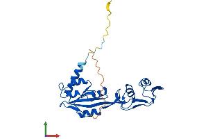 AlphaFold protein structure predicition of Mouse Recombinant Mrto4 Protein, UniprotID Q9D0I8