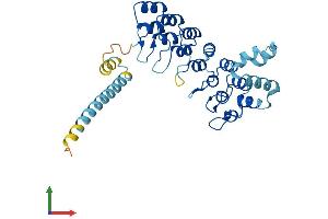 AlphaFold protein structure predicition of Mouse Recombinant Asb11 Protein, UniprotID Q9CQ31