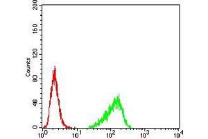 Flow cytometric analysis of Hela cells using RND3 mouse mAb (green) and negative control (red).
