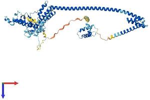 AlphaFold protein structure predicition of Human Recombinant DNAJC2 Protein, UniprotID Q99543