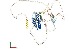 AlphaFold protein structure predicition of Human Recombinant SOCS5 Protein, UniprotID O75159