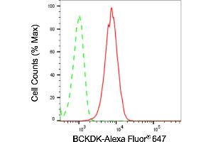 Flow cytometric analysis of BCKDK expression in C2C12 cells using BCKDK antibody (ABIN7797782), 1:2,000).