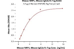 Immobilized Human VEGF165, Tag Free (ABIN2181903,ABIN2693608,ABIN3071747) at 2 μg/mL (100 μL/well) can bind Mouse NRP1, Mouse IgG2a Fc Tag (ABIN5954940,ABIN6809981) with a linear range of 0.