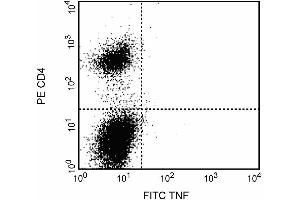 Preincubation of the fixed/permeabilized cells with unlabeled MP6-XT22 antibody (2 µg, ABIN967462, second panel) (TNF alpha anticorps)
