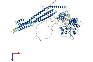 AlphaFold protein structure predicition of Mouse Recombinant Asap3 Protein, UniprotID Q5U464