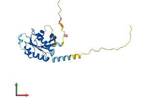 AlphaFold protein structure predicition of Human Recombinant RABL2B Protein, UniprotID Q9UNT1