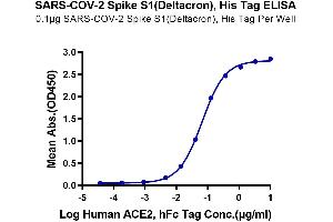 Immobilized SARS-COV-2 Spike S1 (Deltacron) , His Tag at 1 μg/mL (100 μL/Well) on the plate.