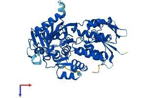 AlphaFold protein structure predicition of Mouse Recombinant Ppox Protein, UniprotID P51175