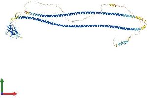 AlphaFold protein structure predicition of Mouse Recombinant Calcoco1 Protein, UniprotID Q8CGU1