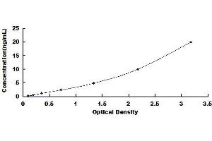 Typical standard curve (LAIR1 Kit ELISA)